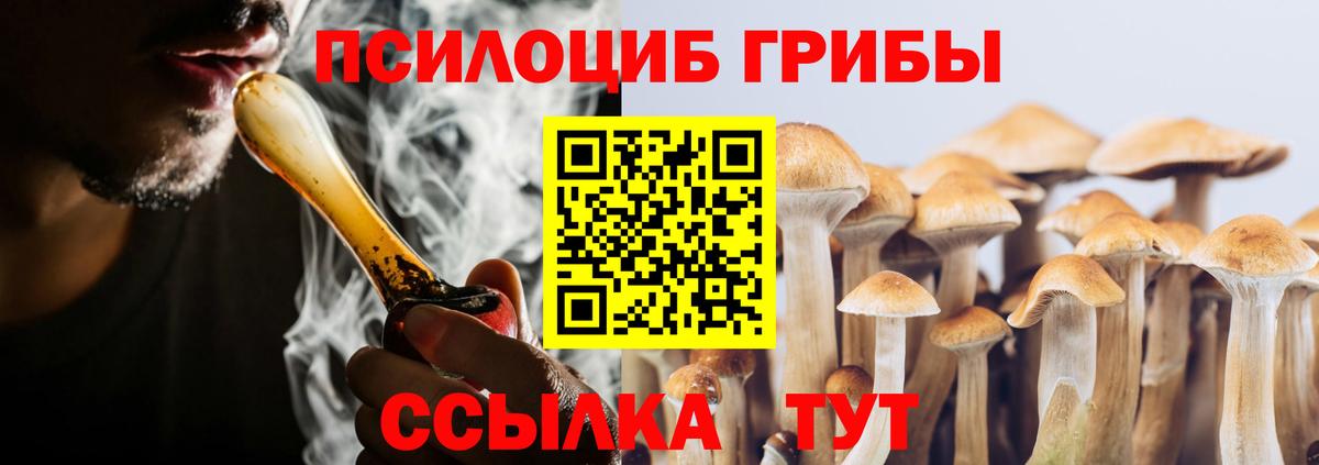 наркотики  Галлюциногенные грибы прущие грибы  Псилоцибиновые грибы MAGIC MUSHROOMS  Вход с VPN  Большой Камень 